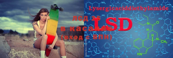 PSILOCYBIN Покачи