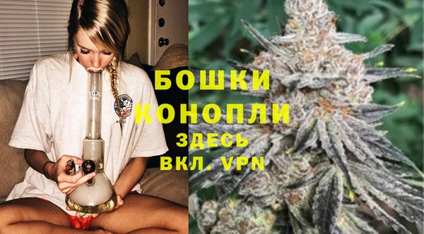 PSILOCYBIN Покачи