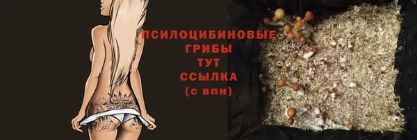 spice Покровск
