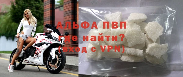 PSILOCYBIN Покачи